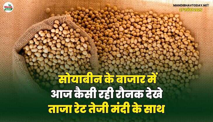 सोयाबीन के बाजार में आज कैसी रही रौनक | देखे ताजा रेट तेजी मंदी के साथ
