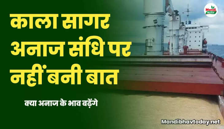 Black Sea Grain Initiative