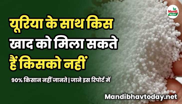 यूरिया के साथ किस खाद को मिला सकते हैं किसको नहीं | 90% किसान नहीं जानते
