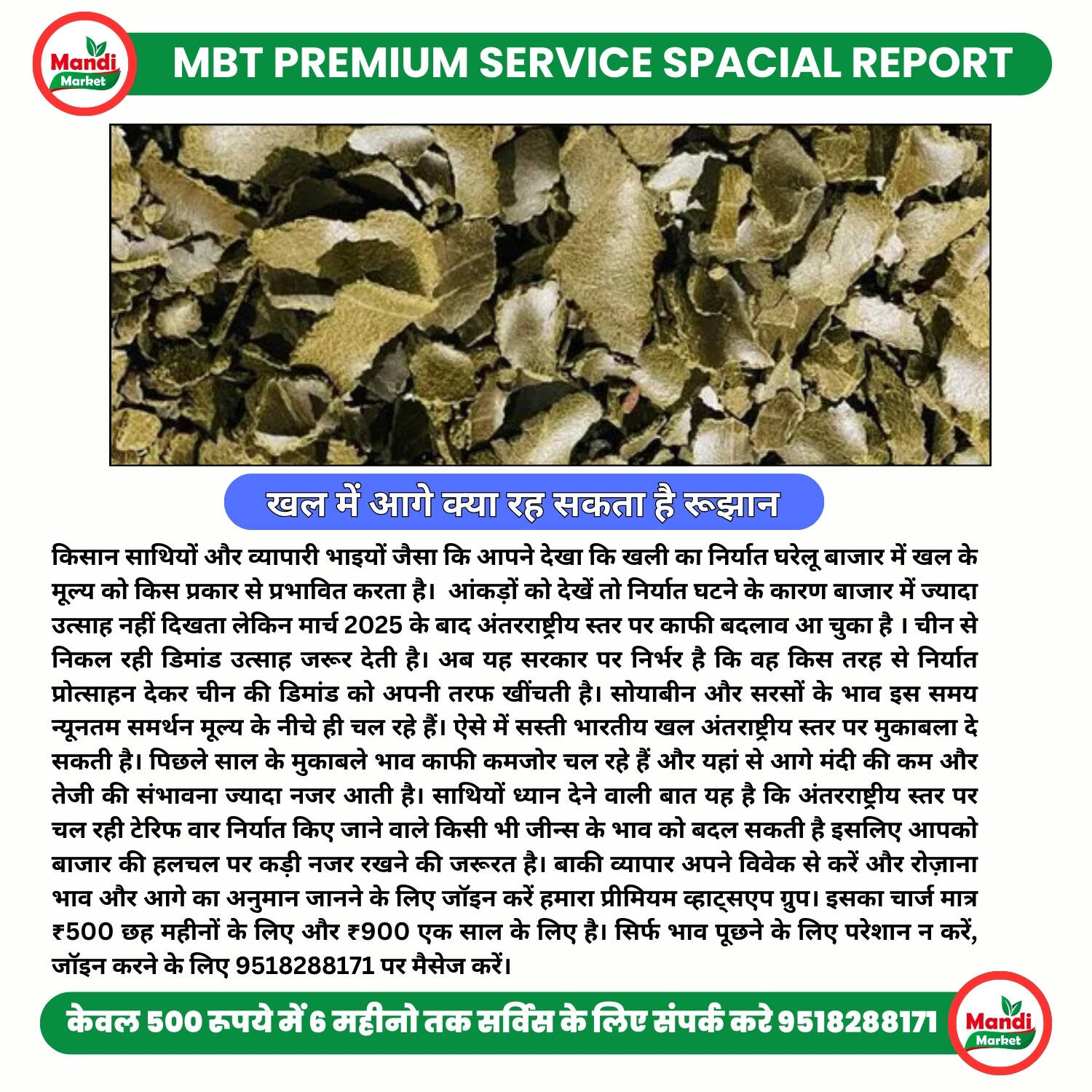 MANDI BHAV TODAY