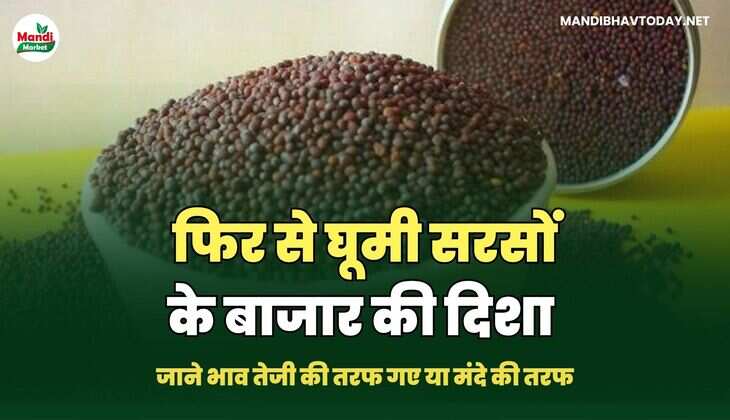 जाने भाव तेजी की तरफ गए या मंदे की तरफ