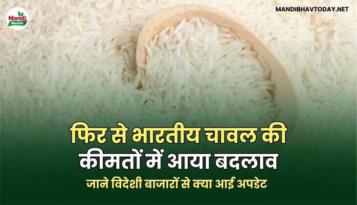 जाने विदेशी बाजारों से क्या आई अपडेट