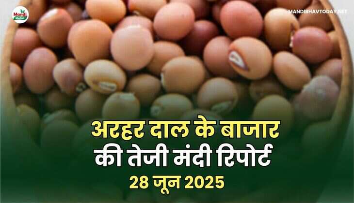 अरहर दाल images