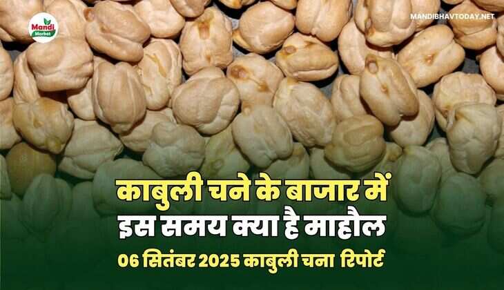 01 सितंबर 2025 रिपोर्ट 