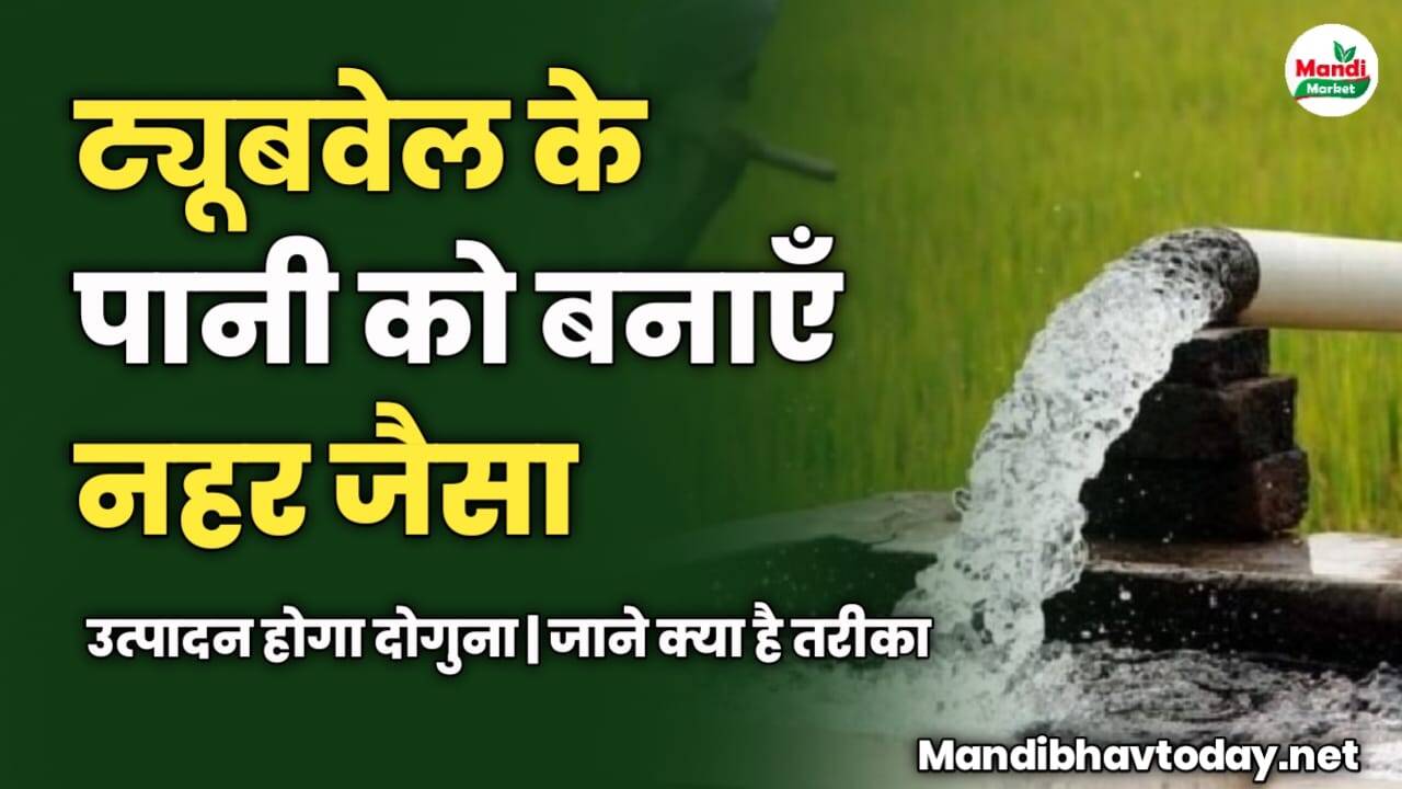 ट्यूबवेल के पानी को बनाएँ नहर जैसा | उत्पादन होगा दोगुना | जाने क्या है तरीका