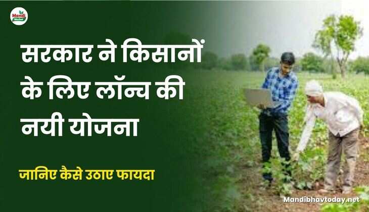 बागवानी