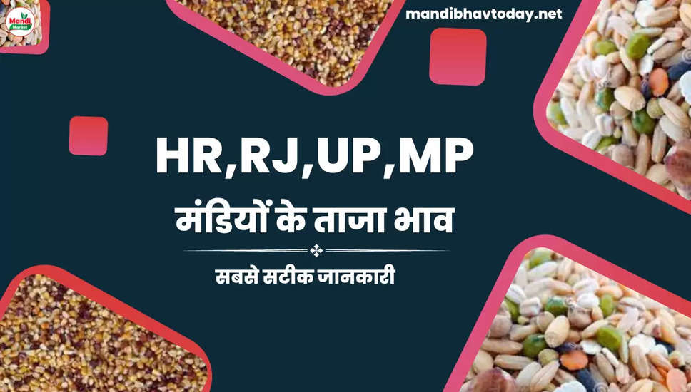 HR RJ MP UP Mandiyo ke bhav 29 Nov 22