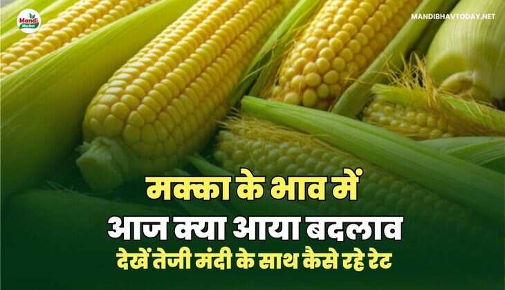 मक्का images