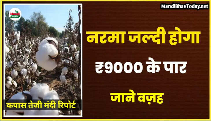 Narma cotton report