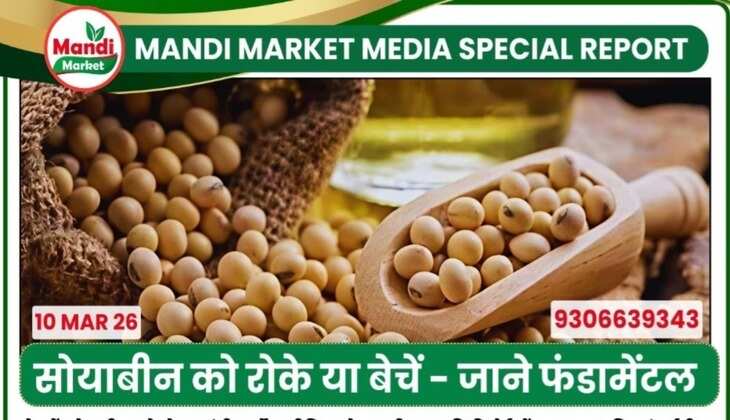 mandibhavtoday