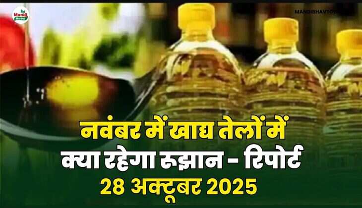 नवंबर में खाद्य तेलों में क्या रहेगा रूझान - रिपोर्ट