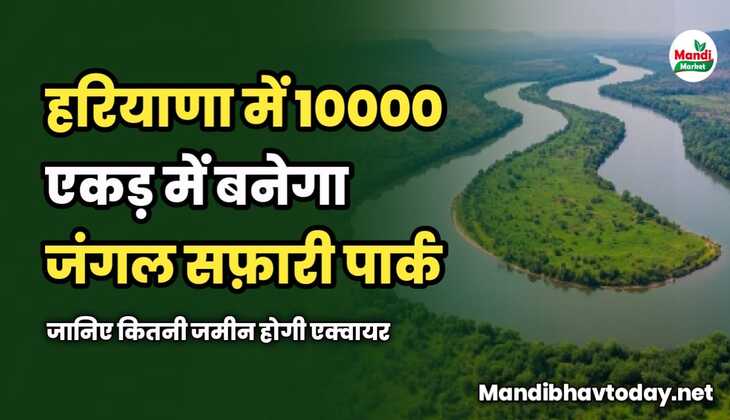 हरियाणा में 10000 एकड़ में बनेगा जंगल सफ़ारी पार्क | जानिए कितनी जमीन होगी एक्वायर