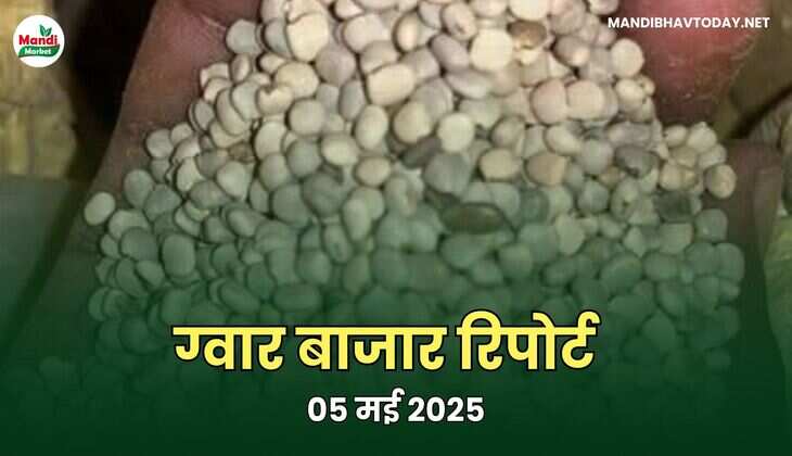 05 मई 2025
