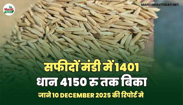 देखे बाकी मंडियों मे क्या है रिपोर्ट 