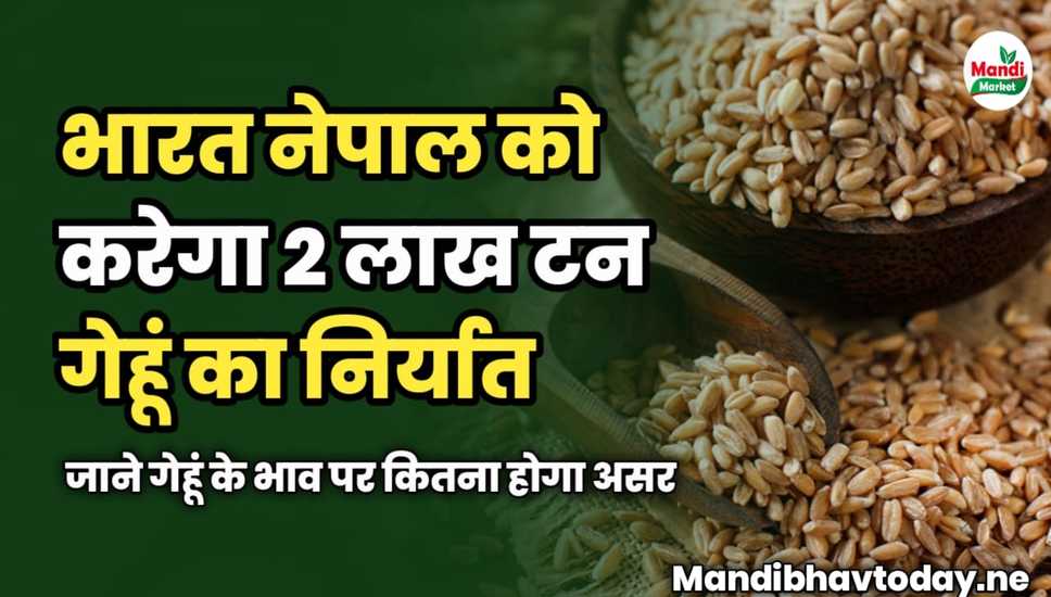 भारत नेपाल को करेगा 2 लाख टन गेहूं का निर्यात | जाने गेहूं के भाव पर कितना होगा असर 