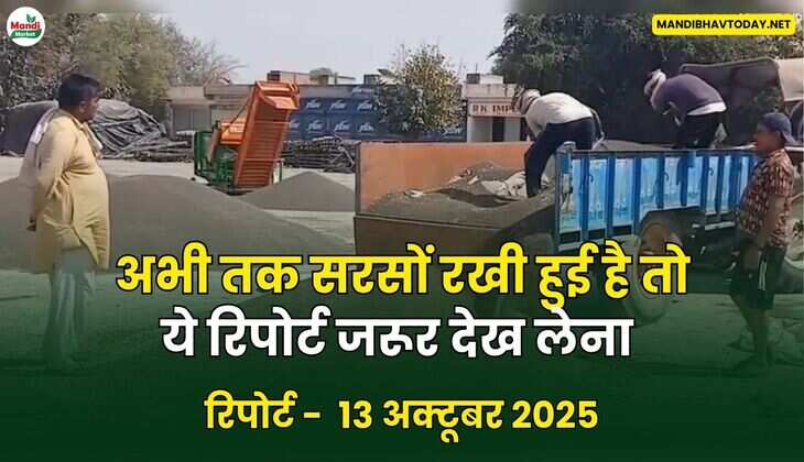 अभी तक सरसों रखी हुई है तो ये रिपोर्ट जरूर देख लेना