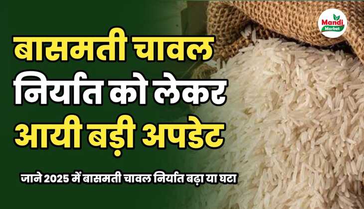 बासमती चावल के निर्यात को लेकर आयी बड़ी अपडेट | जाने 2025 में निर्यात में क्या हुआ बदलाव