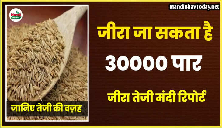 जीरा जा सकता है 30000 के पार | जाने क्या है खबर
