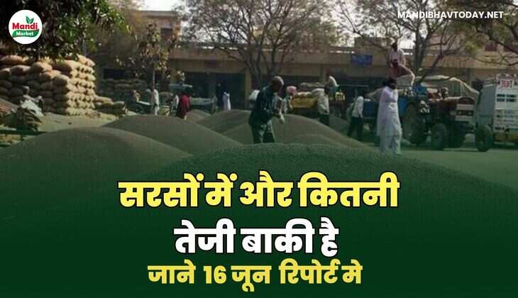 सरसों image