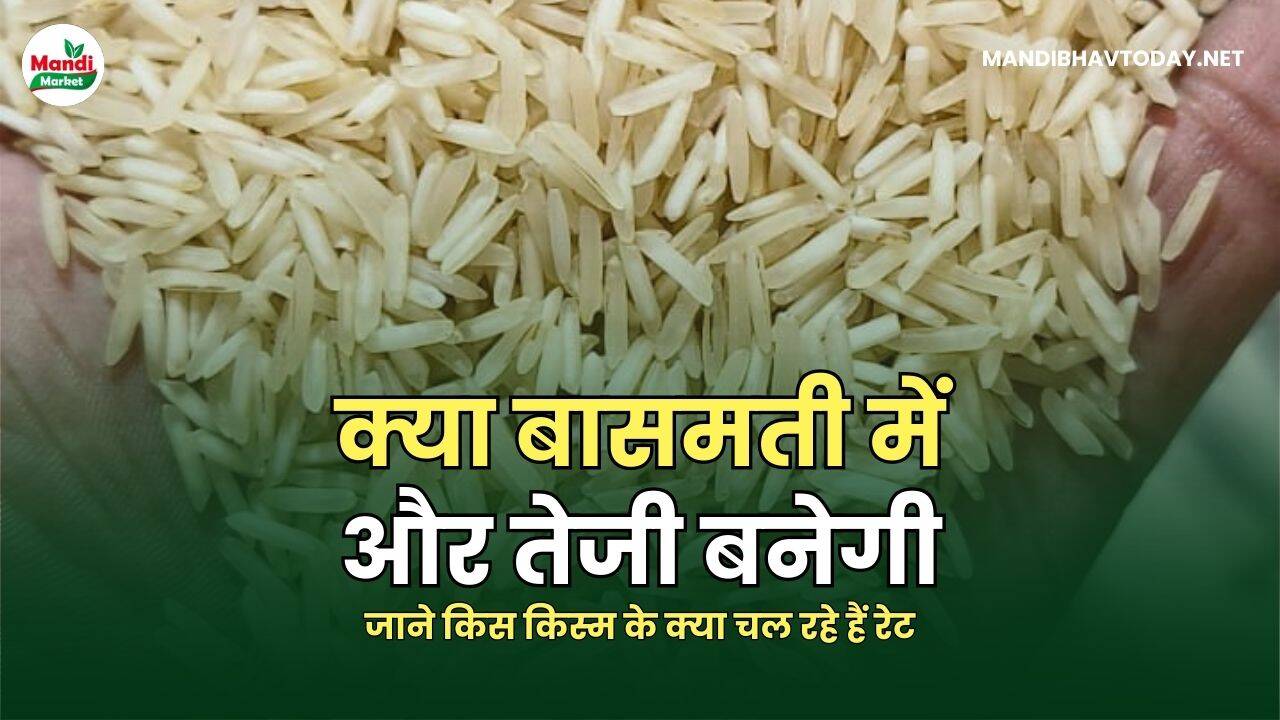 क्या बासमती में और तेजी बनेगी