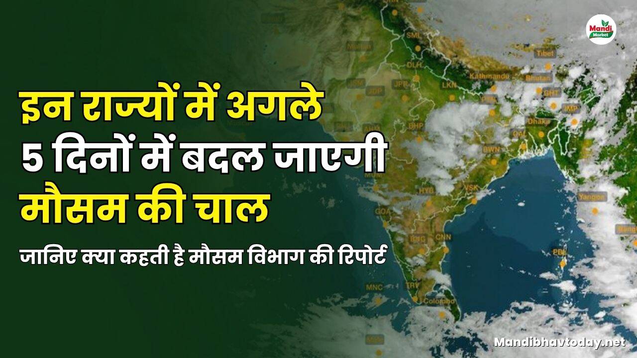 जानिए क्या कहती है मौसम विभाग की रिपोर्ट