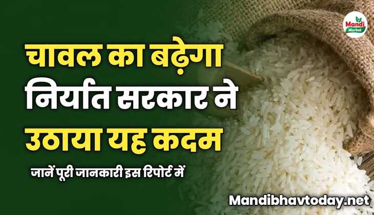 चावल का बढ़ेगा निर्यात सरकार ने उठाया यह कदम | जानें पूरी जानकारी इस रिपोर्ट में