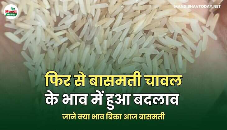 basmati bhav