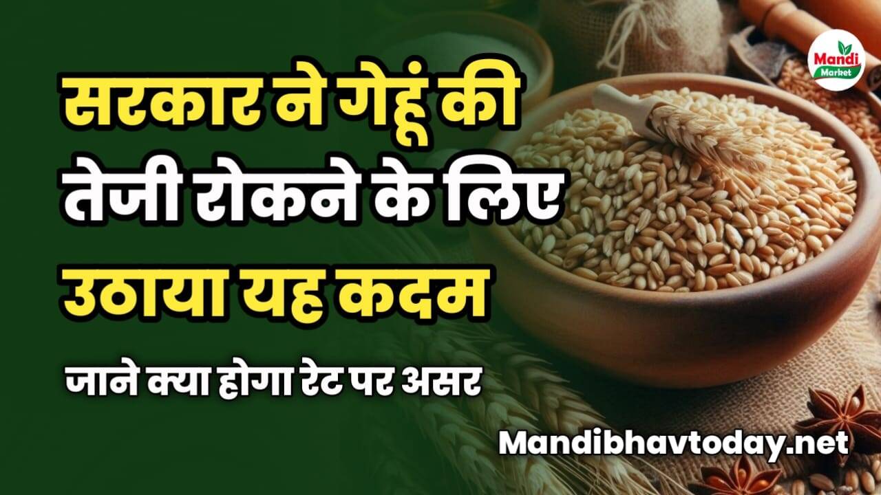 सरकार ने गेहूं की तेजी रोकने के लिए उठाया यह कदम | जाने क्या होगा रेट पर असर