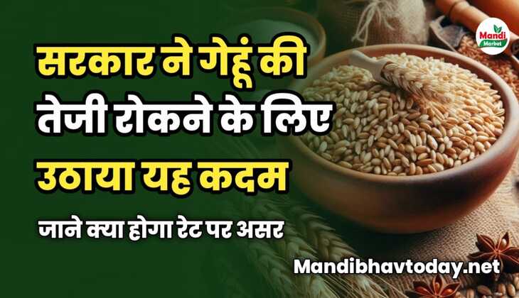 सरकार ने गेहूं की तेजी रोकने के लिए उठाया यह कदम | जाने क्या होगा रेट पर असर