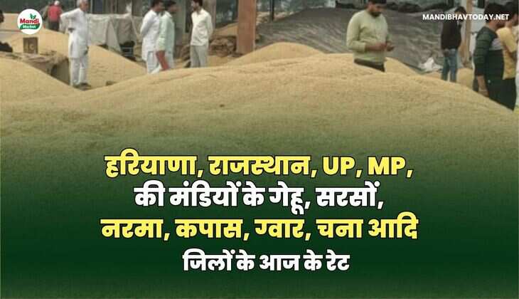  जिलों के आज के रेट