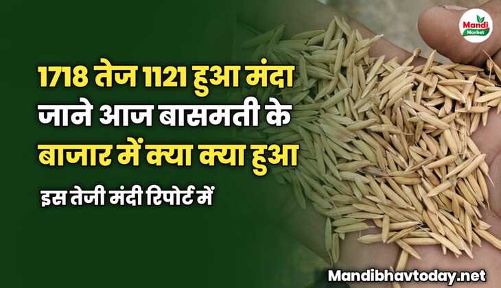 1718 तेज 1121 हुआ मंदा जाने आज बासमती के बाजार में क्या क्या हुआ | तेजी मंदी रिपोर्ट