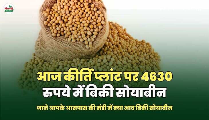 सोयाबीन images