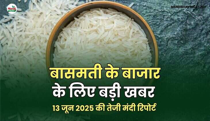 बासमती image