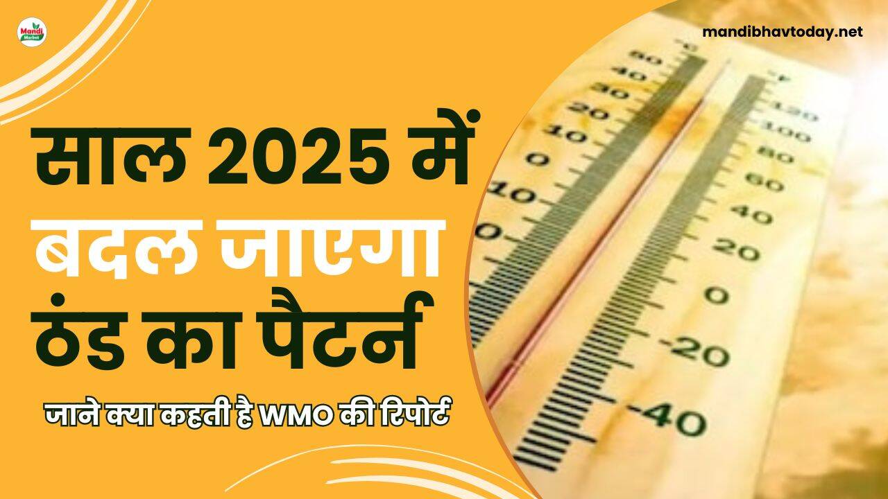 साल 2025 में बदल जाएगा ठंड का पैटर्न | जाने क्या कहती है WMO की रिपोर्ट