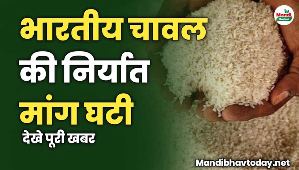 भारतीय चावल की निर्यात मांग घटी | जाने पूरी खबर 