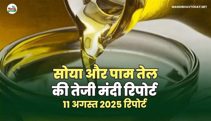 सोया और SOYABEAN