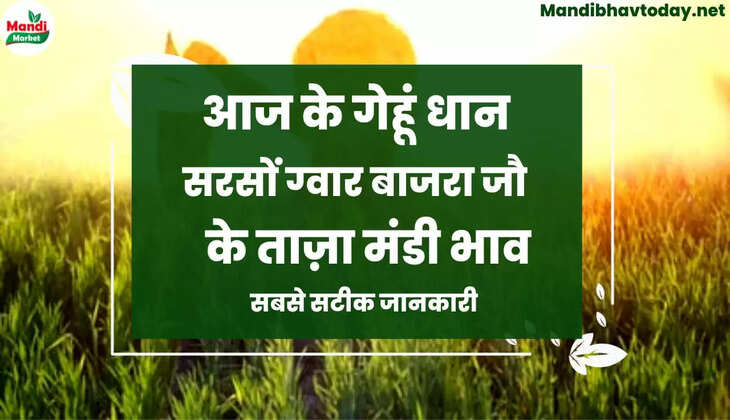 Anaj Mandi Rate today 17 Sep 2022