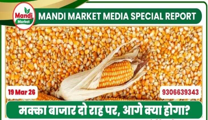 मक्का बाजार दो राह पर, आगे क्या होगा?