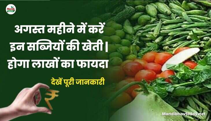 अगस्त महीने में करें इन सब्जियों की खेती | होगा लाखों का फायदा