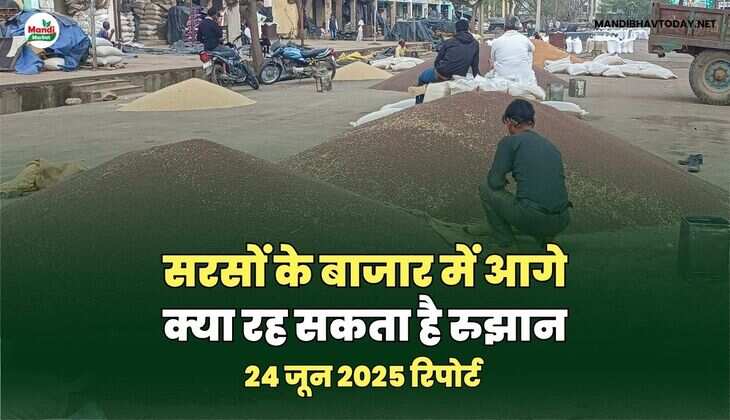 सरसों images