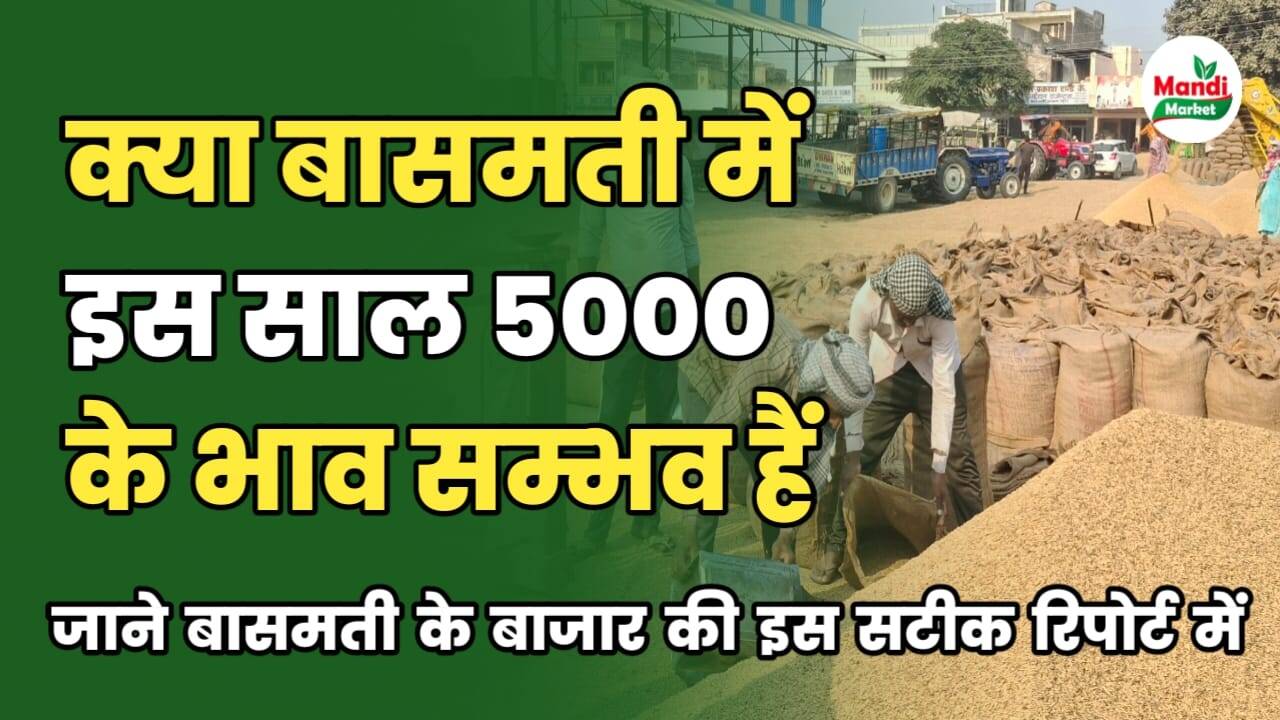 बासमती कि तेजी मंदी रिपोर्ट