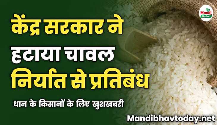 धान के किसानों के लिए खुशखबरी | सरकार ने हटाया चावल निर्यात से प्रतिबंध