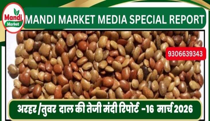 अरहर /तुवर  दाल की तेजी मंदी रिपोर्ट  -16  मार्च 2026