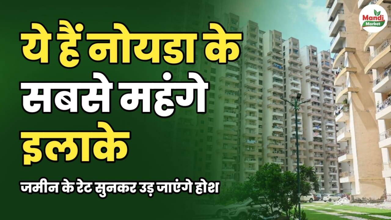 यहां हैं नोएडा के सबसे महंगे इलाके | ज़मीन के रेट सुनकर उड़ जाएंगे होश