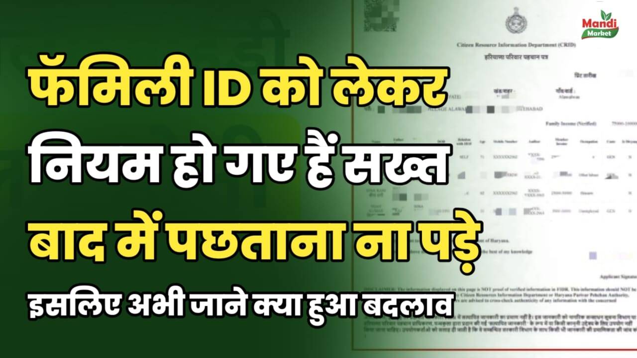 फॅमिली ID को लेकर नियम हो गए हैं सख्त | पछताना न पड़े, इसलिए अभी जानें क्या हुआ बदलाव