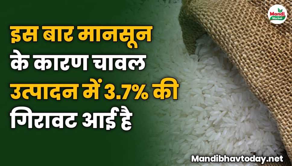 इस बार मानसून के कारण चावल उत्पादन में 3.7% की गिरावट आई है 