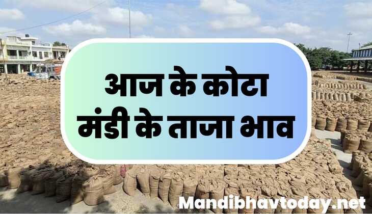 देखे आज के भामाशाह कोटा मंडी के ताजा मंडी भाव | kota mandi ke bhav 26 March 2025