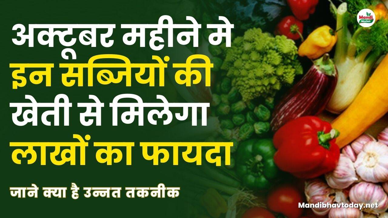 अक्टूबर महीने मे इन सब्जियों की खेती से मिलेगा लाखों का फायदा | जाने क्या है उन्नत तकनीक