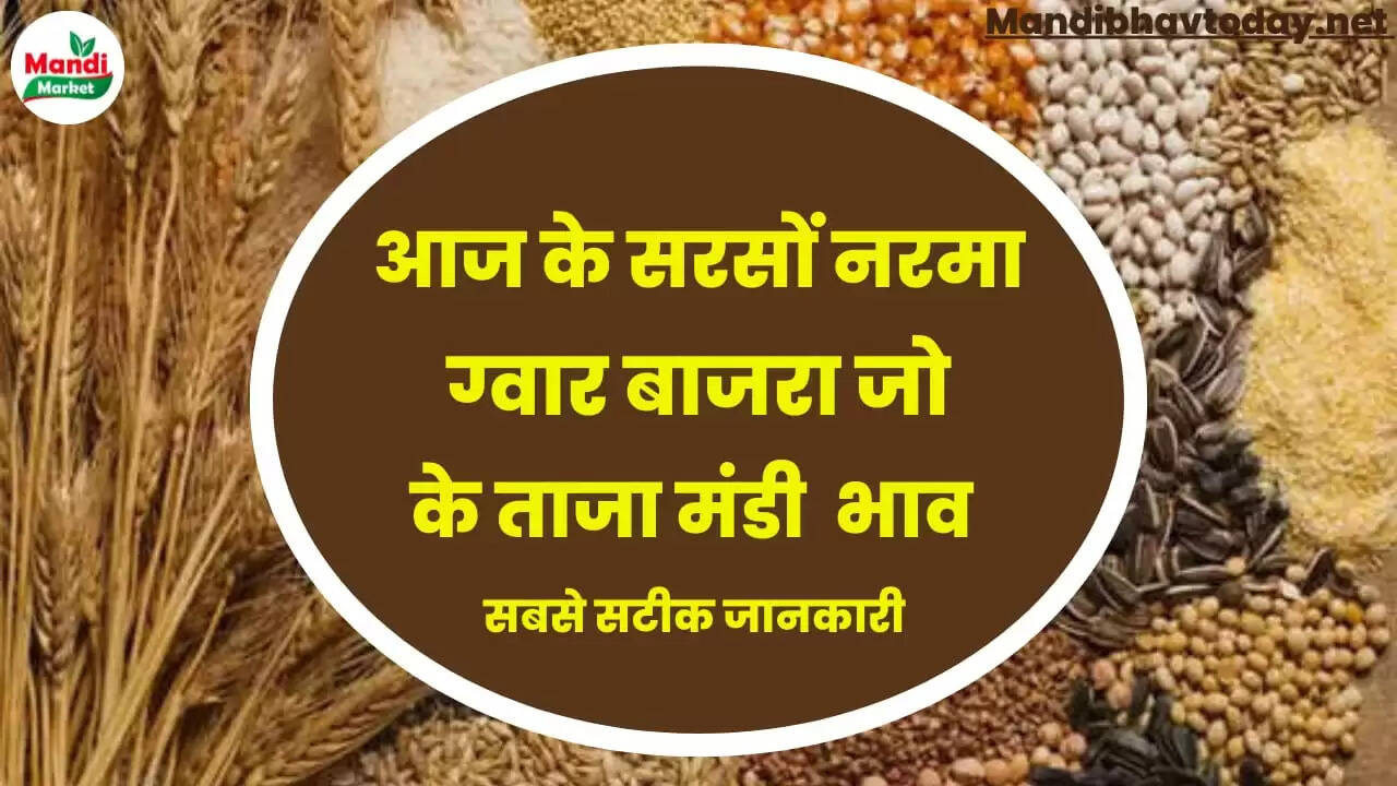Anaj Mandi Rate today 30 Sep 22