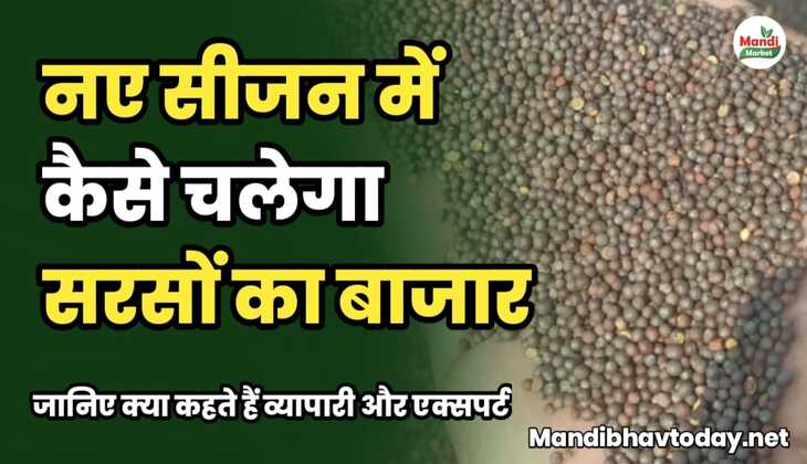 नए सीजन में कैसे चलेगा सरसों का बाजार | जानिए क्या कहते हैं व्यापारी और एक्सपर्ट